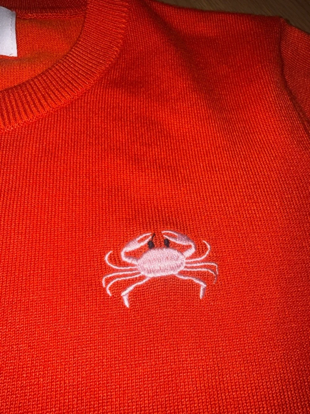 Cozy Red Crewneck Sweater with Subtle Crab Motif